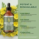 mullein-drops-for-lungs-mullein-leaf-ext-3.jpg