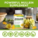 mullein-gummies-for-clear-lungs-10-in-1--4.jpg