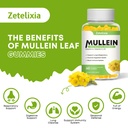 mullein-gummies-for-clear-lungs-10-in-1--3.jpg