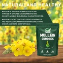 mullein-gummies-for-lung-detox-1000mg-mu-2.jpg