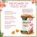 prenatal-vitamins-for-women-complete-pre-6.jpg