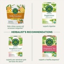 traditional-medicinals-organic-morning-e-5.jpg