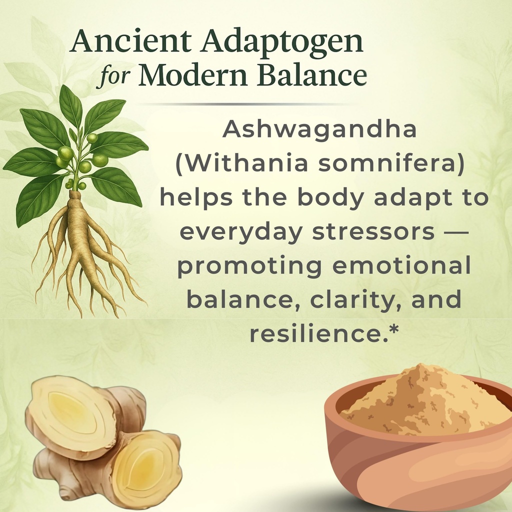 sun-vitals-ashwagandha-ultra-potent-650--4.jpg