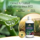 real-aloe-aloe-vera-juice-variants-32-fl-2.jpg