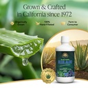 real-aloe-blue-aloe-juice-32-fl-oz-organ-2.jpg