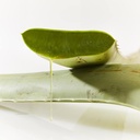 ultimate-aloe-juice-inner-leaf-aloe-vera-3.jpg