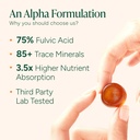 root-labs-10-in-1-alpha-shilajit-gummies-3.jpg