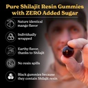 better-alt-pure-himalayan-shilajit-gummi-3.jpg