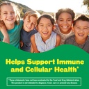 l-il-critters-immune-c-daily-gummy-suppl-2.jpg