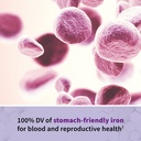 garden-of-life-vitamin-code-raw-prenatal-5.jpg