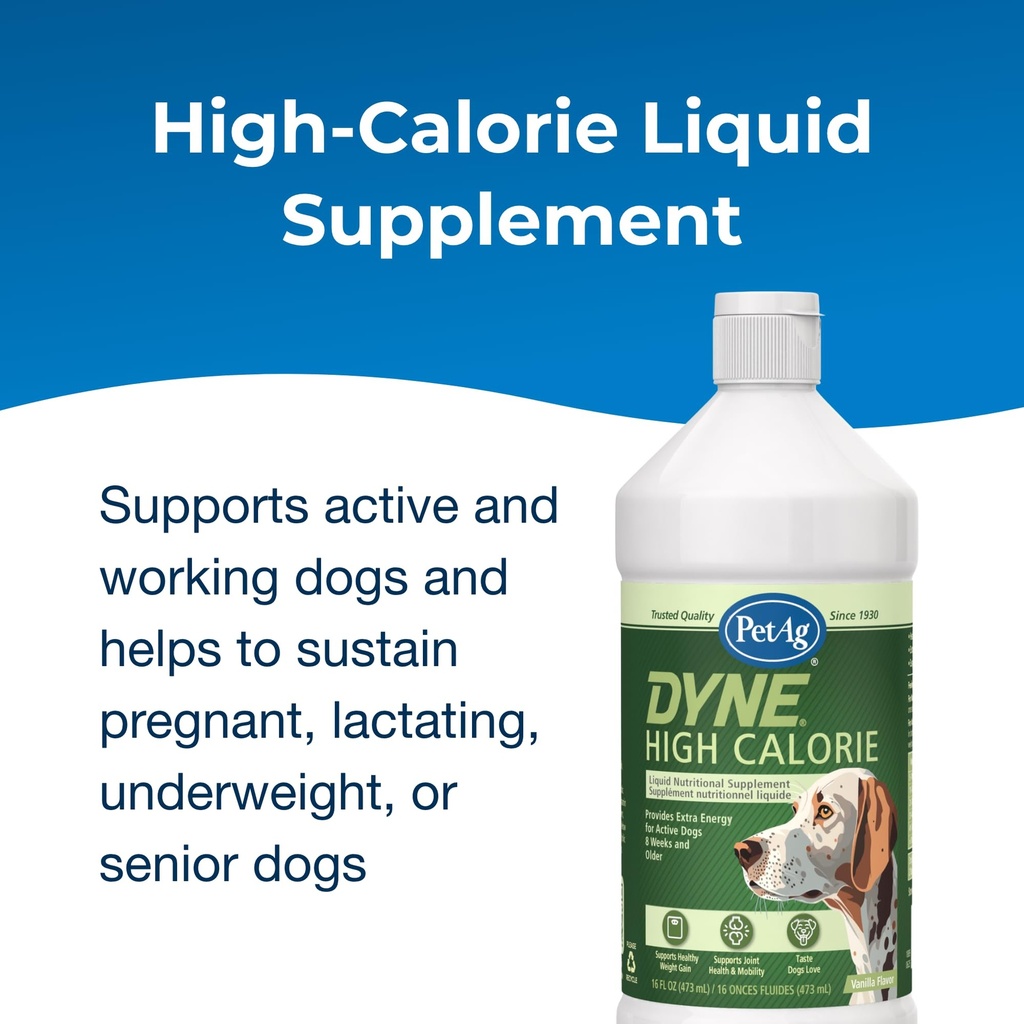petag-dyne-high-calorie-liquid-nutrition-3.jpg