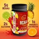 z2g-bcaa-powder-summer-punch-splash-gut--3.jpg