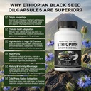 black-seed-oil-capsules-purely-nutrient--4.jpg