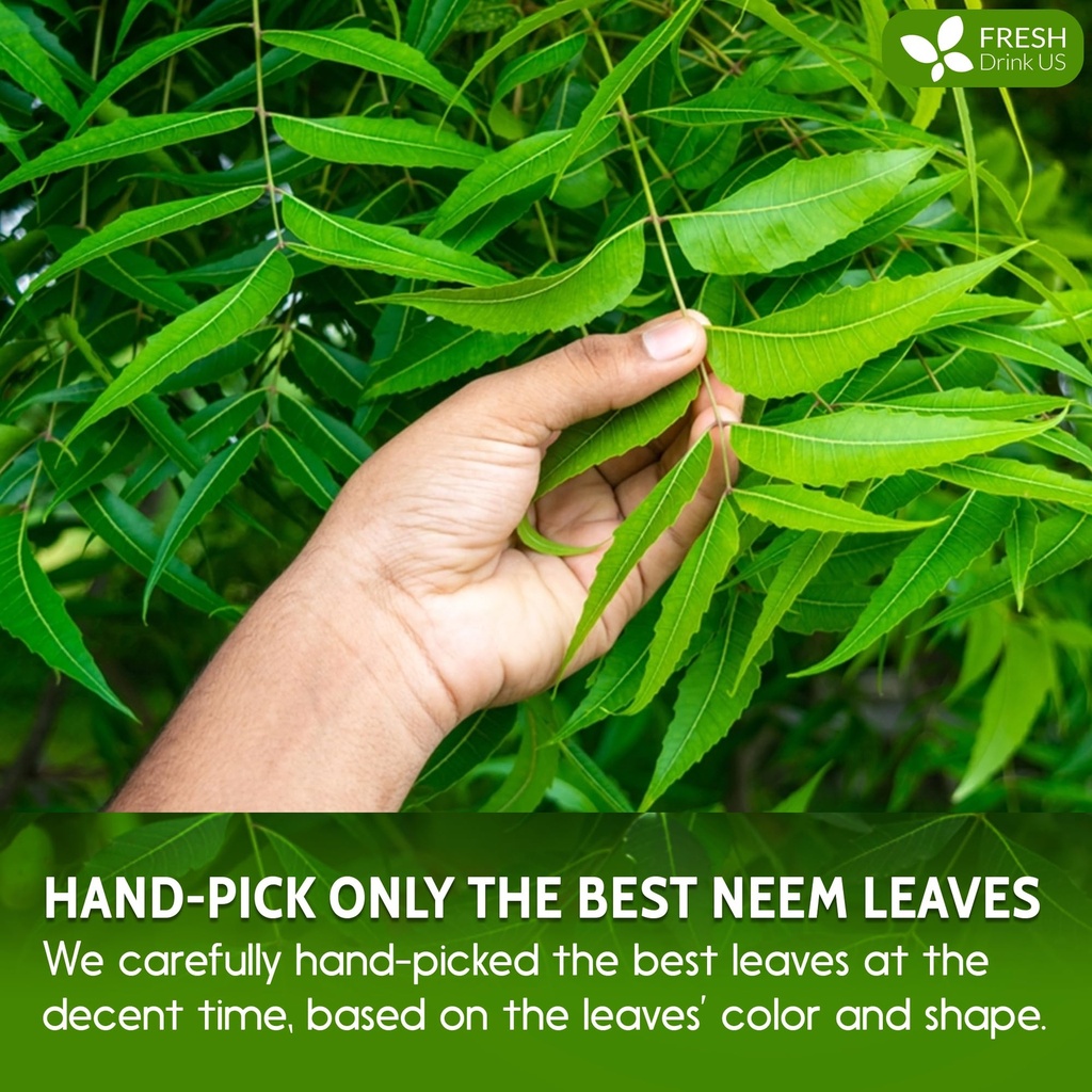 freshdrinkus-premium-6oz-neem-leaf-powde-6.jpg