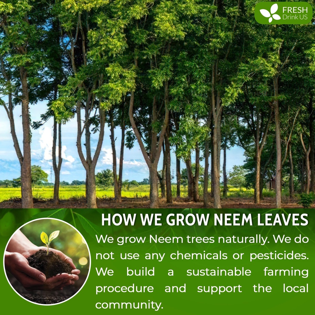 freshdrinkus-premium-6oz-neem-leaf-powde-5.jpg