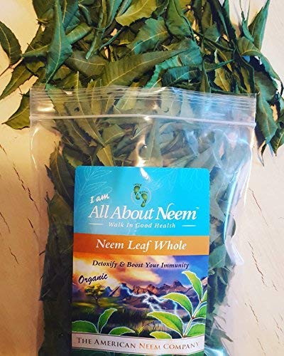 organic-neem-leaves-whole-fresh-wild-har-3.jpg
