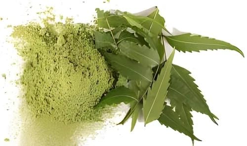 neem-leaves-powder-150-gms-neem-powder-f-3.jpg