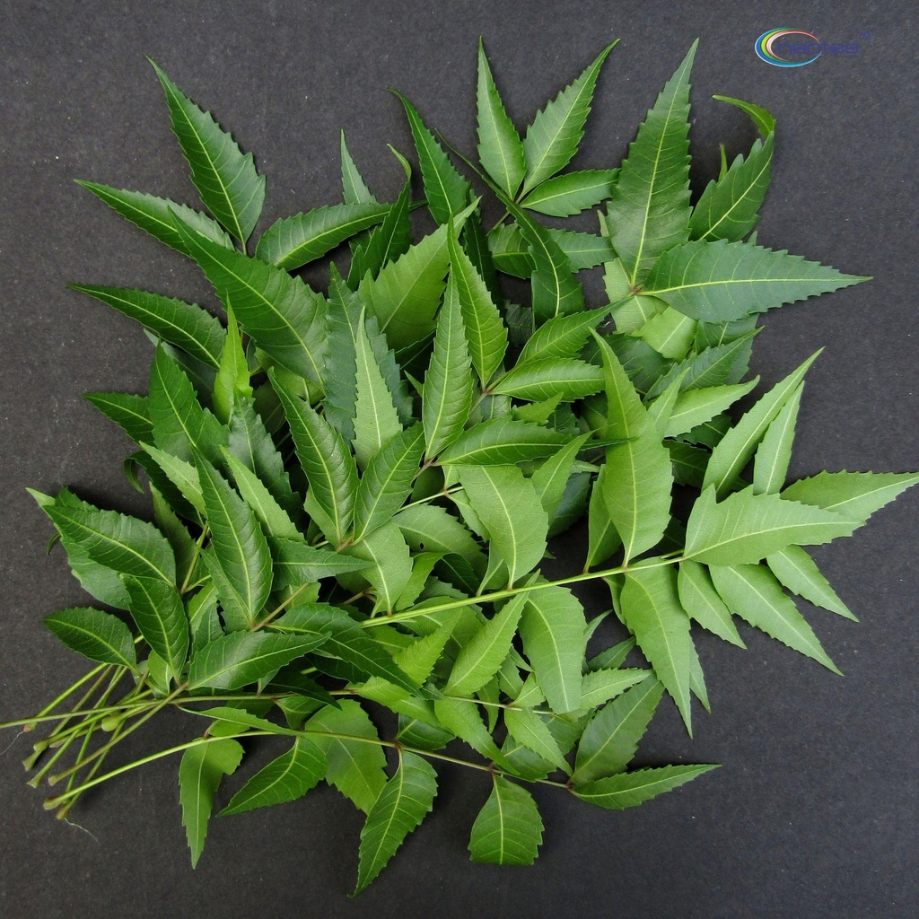 neotea-neem-leaves-powder-100-pure-azadi-6.jpg