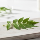 organic-neem-leaves-powder-non-gmo-no-ad-6.jpg