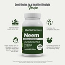 herbsforever-neem-azadirachta-indica-ext-5.jpg