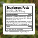 herbsforever-neem-azadirachta-indica-ext-3.jpg