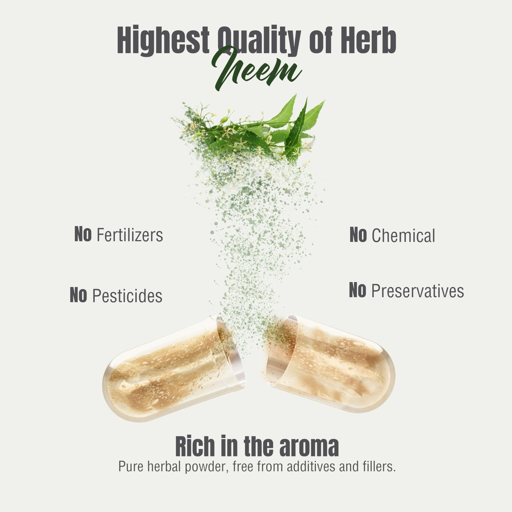 herbsforever-neem-azadirachta-indica-ext-6.jpg