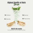 herbsforever-neem-azadirachta-indica-ext-6.jpg