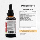 secrets-of-the-tribe-cardio-secret-arter-4.jpg