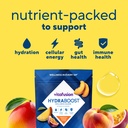 vitafusion-hydraboost-drink-powder-packe-3.jpg