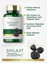 carlyle-shilajit-capsules-2000mg-90-coun-3.jpg