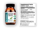 dr-wakde-s-gymnema-capsules-gudmar-i-100-2.jpg