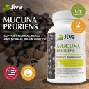 jiva-botanicals---mucuna-pruriens-capsul-3.jpg