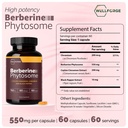 berberine-phytosome-550mg-60-capsules-wi-2.jpg