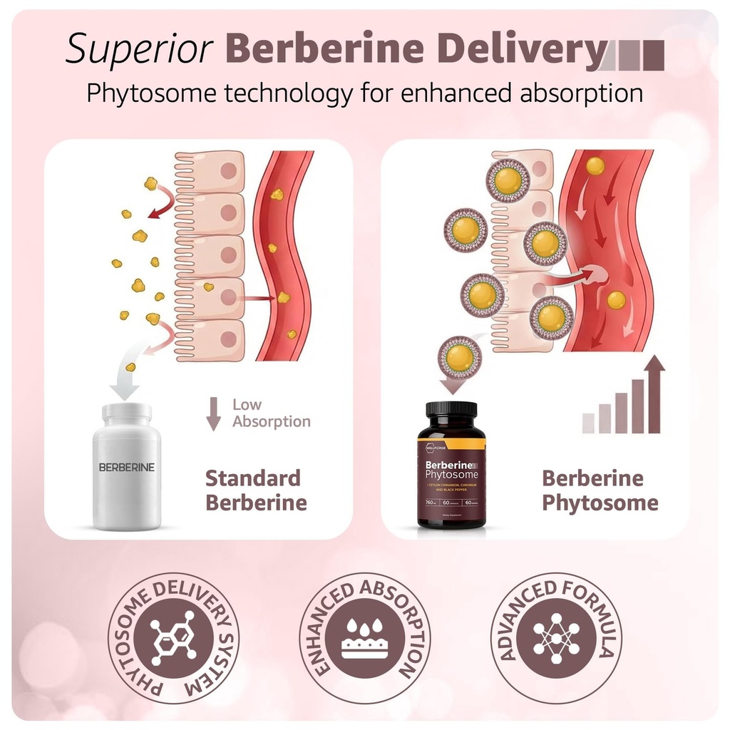 berberine-phytosome-550mg-60-capsules-wi-3.jpg