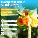 cortisol-supplements-for-women-and-men-1-6.jpg