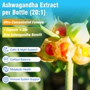 cortisol-supplements-for-women-and-men-1-3.jpg