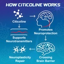 abyssus-citicoline-cdp-choline-1000mg-gu-3.jpg
