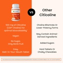 ez-melts-citicoline-brain-health-memory--5.jpg