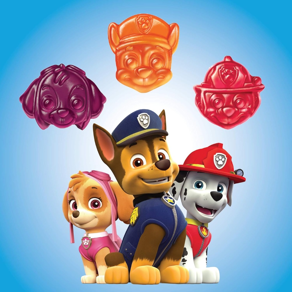 lil-critters-paw-patrol-gummy-vites-dail-5.jpg