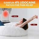 sumifun-4-lidocaine-pain-relief-patches--5.jpg
