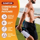 sumifun-tiger-pain-relief-patches-5-ment-2.jpg