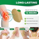 pain-relief-patches-36-pcs-knee-pain-rel-2.jpg