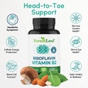 forestleaf-vitamin-b2-riboflavin-400mg-e-2.jpg