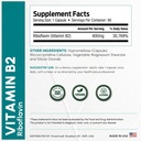 forestleaf-vitamin-b2-riboflavin-400mg-e-3.jpg