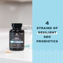ancient-nutrition-probiotics-for-men-sbo-5.jpg