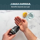 ancient-nutrition-probiotics-for-men-sbo-4.jpg
