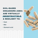 ancient-nutrition-probiotics-sbo-probiot-4.jpg