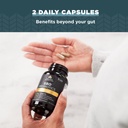 ancient-nutrition-probiotics-sbo-probiot-6.jpg