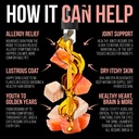 wild-alaskan-salmon-oil-for-dogs-liquid--5.jpg