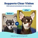 eye-supplement-for-dogs-120-soft-chews-d-4.jpg
